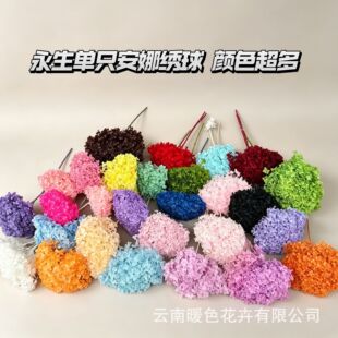 Ưɫ���Ƚ����������� �Ҿ��b��|���������˹��Y��520��I��ُ