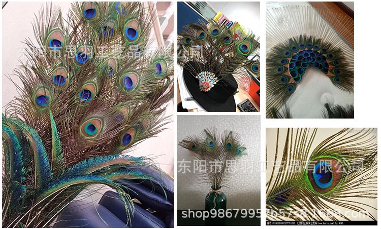 TB20zDJcib.BuNjt_jDXXbOzpXa_!!