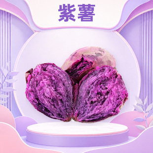 �V�|���� ���l���l3/5/9��ܛŴ���ĵع����_�m�������o���r�߲�