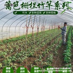 小竹子细竹竿棚架碳化室内菜菜豆角菜地防护栅栏景观竹栅栏麦太保