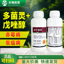 �������B���򴼶���`�~�߲���ù��̿�Ҳ��������׸����rș������