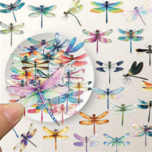 50����Ȼ���xϵ�����~�N�������N��diy�֎��زĵ�����ˮ�b��NPET