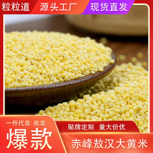 �������ЙC���S��MŴ���S������s�Z���������S��ֱ�����l