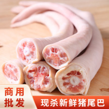 农家散养新鲜土猪猪尾巴长尾巴短尾巴冷冻带皮红烧猪卤味商用生鲜