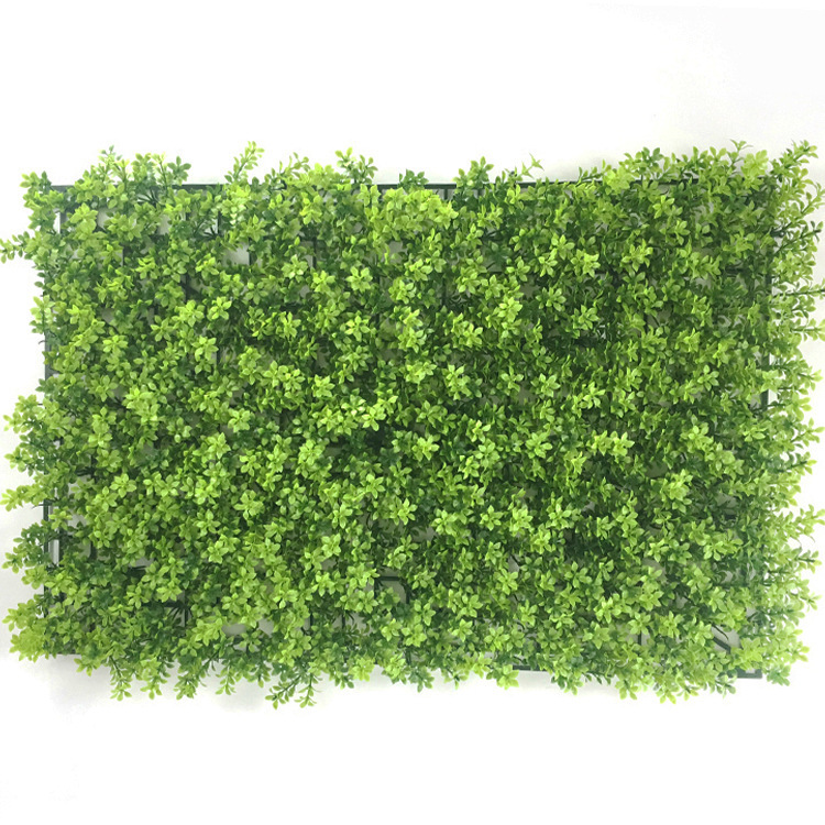 Hierba de hoja de ciruelo