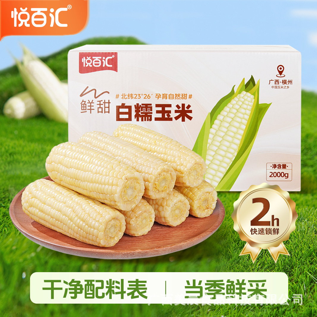 Guangxi Sweet Glutinous White Sticky Corn, Ready-To-Eat after Heating, Vacuum-Packed, Fresh Whole Grain Staple Food, Breakfast, Guangxi Specialty
