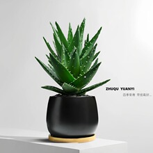 �J�C�����k���ҷ�ݗ��ֲ���̨�ļ����B�׻�܄����������Gֲ