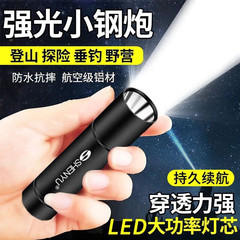 ミニ懐中電灯超亮遠射屋外家庭用携帯学生老人用照明灯充電可能LED