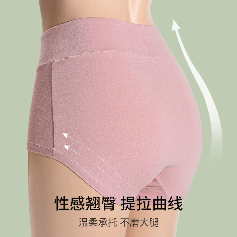 Postpartum Shaping High-Waist Cotton Panties, Antibacterial Breathable, Plus Size (L–XXL)