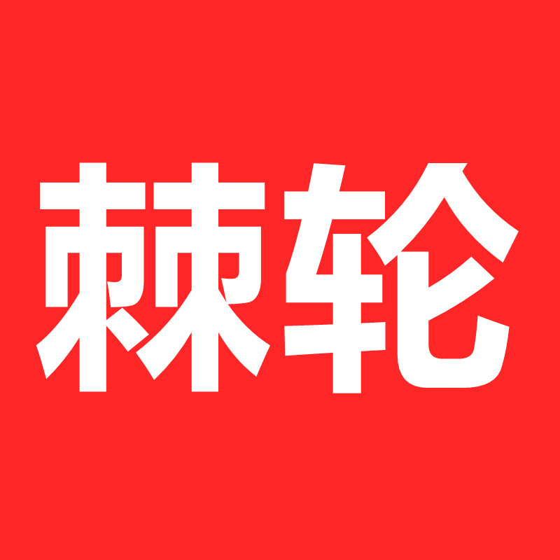 德力西扳手工具套装梅花扳子工具大全套棘轮板手两用开口扳手套装|undefined