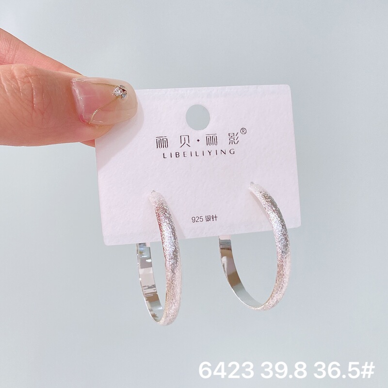 丽贝丽影丽银欧美时尚高级感素圈耳环2025新款爆款个性小众女耳圈|undefined
