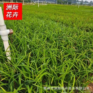 �������l�����  ��������� ���̾G����ľ  �������� �ݻ�