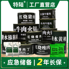 家庭应急物资储备 午餐肉水果蔬菜压缩饼干罐头红烧猪肉家用囤粮