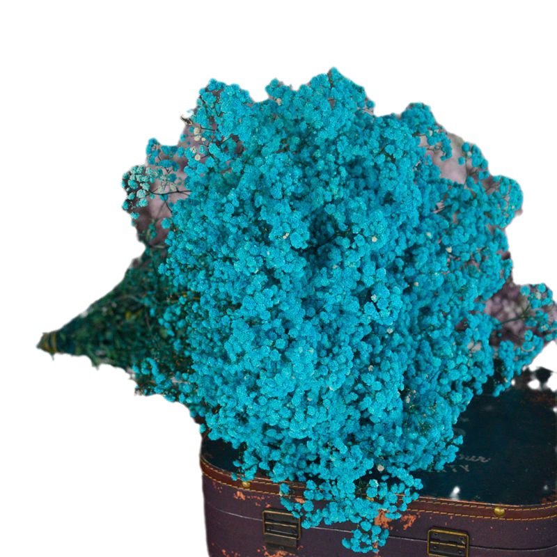 [Gymsophila] dried flower factory wholesale Valentine's Day gift eternal flower Gymsophila bouquet decorative diy flower