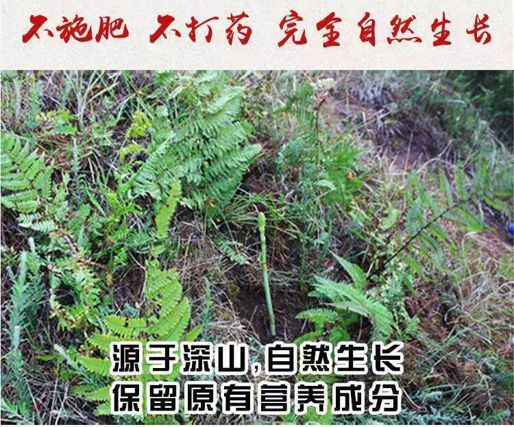 Tian Ma Gastrodia Root 500g Yunnan Zhaotong Black Wild-Crafted Dried Slices for Decoction and Soup quality and texture