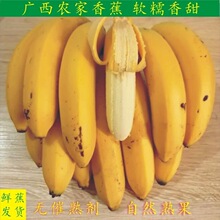 �V�����r�㽶 ���rbanana ���rˮ�� �Ꭷˮ�� �r���l؛