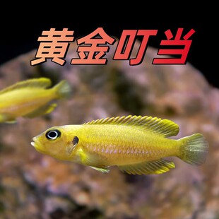 �S�𶣮��~����������̹ؐ�����Rؐ�S�������B��P�P���~���B�ͻ�