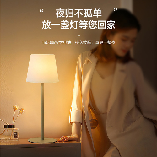 Cross-border hot product bedroom bedside table lamp PE rotational molding rechargeable atmosphere lamp creative bedside ornaments high-end small table lamp