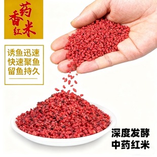 ��~��ș�t��ș����װl��Ұ�ș���a�~���~�~�D�T�~�C����~�D��