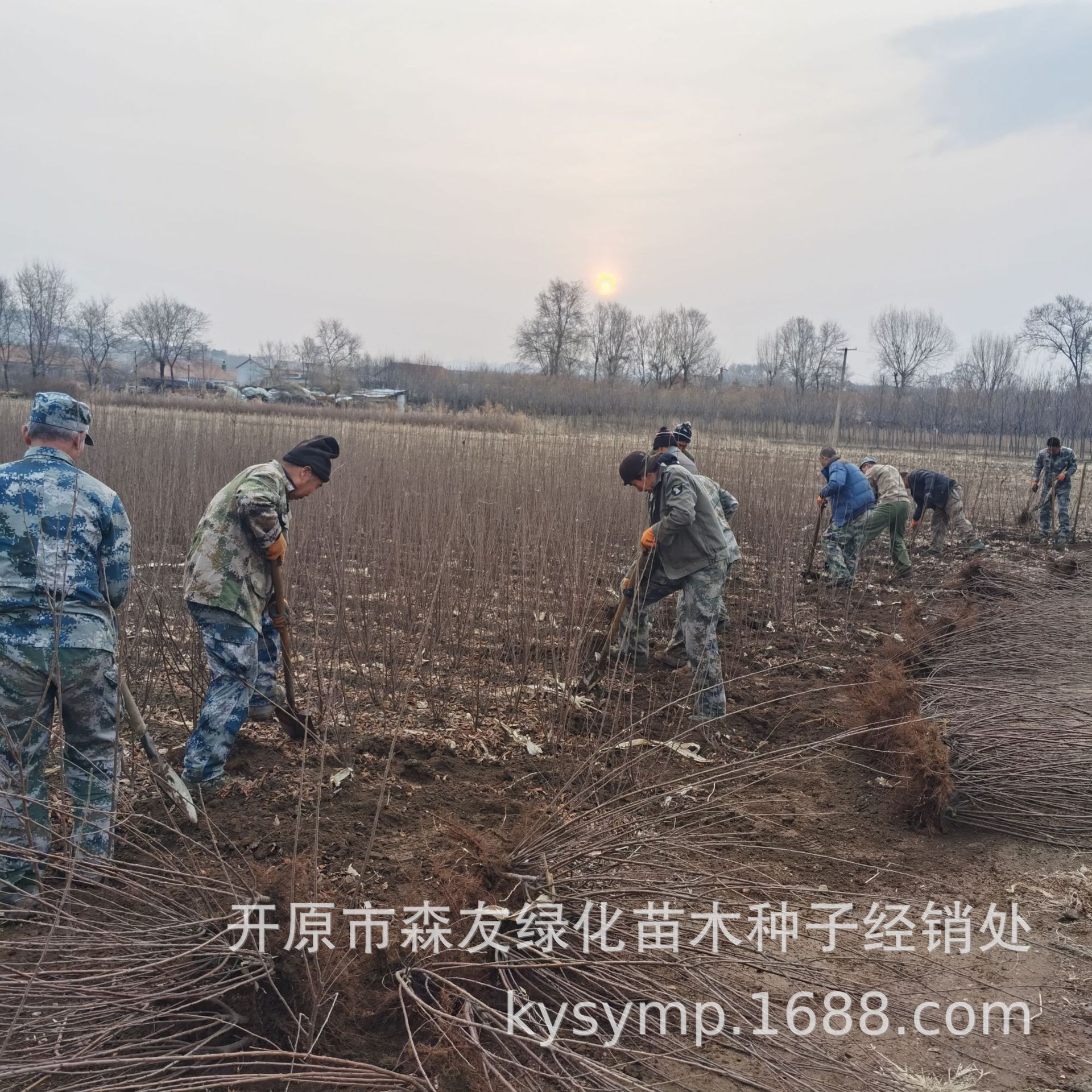 微信图片_20210507123049