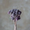 Mist Purple (20 pcs in a bunch)