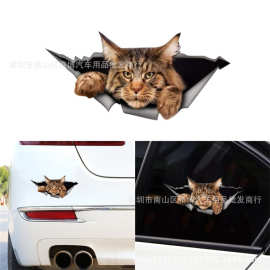 D-2131创意立体可爱狸花猫3D汽车贴纸 装饰小贴后窗贴拉花贴
