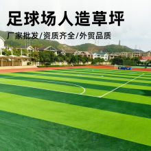 ƺٲƤƺGɫ׃@ٲƤ̺ƺ