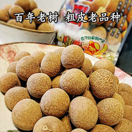 老树泸州桂圆干野生粗皮老品种龙眼四川张坝特产晚熟泡水药用