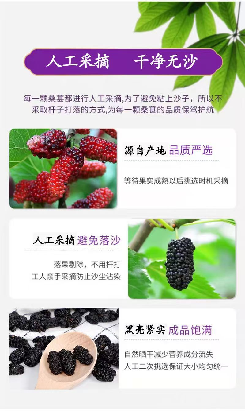 Dried Mulberry Fruit Sang Shen Zi 180g Jar Ready to Eat Snack for Daily Herbal Tea and Wellness specifications