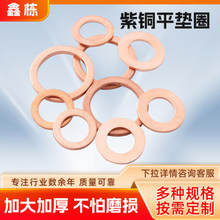 密封件紫銅墊片廠家批發機械密封墊圈船艙耐高溫紫銅墊圈紫銅墊片