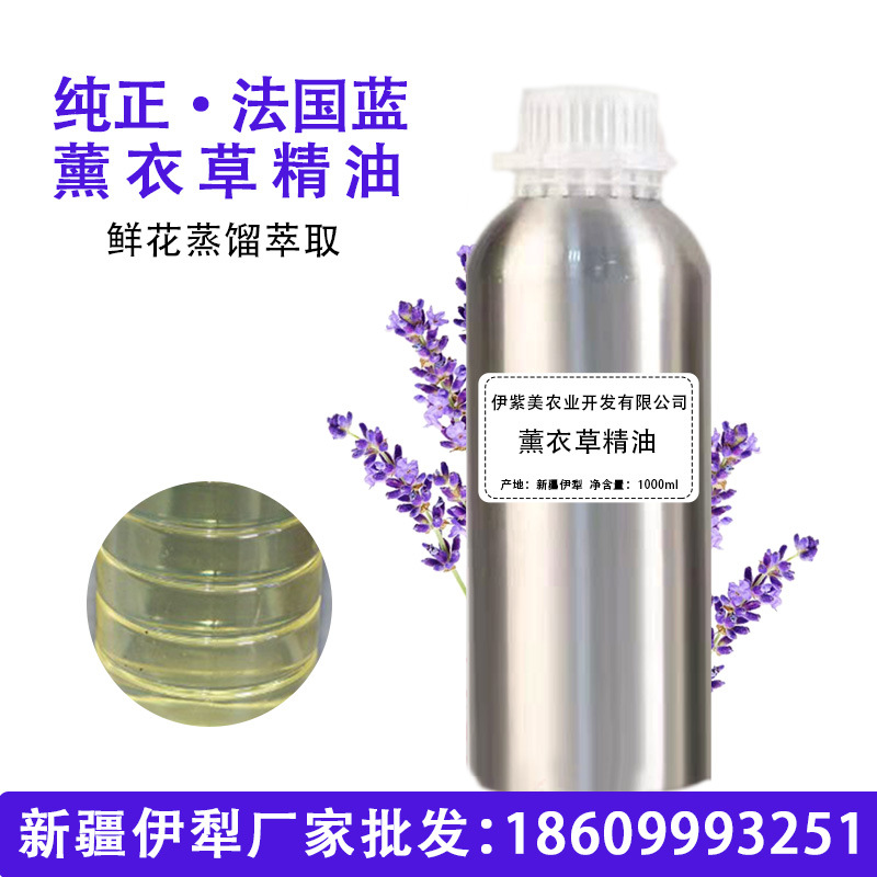 法国蓝薰衣草植物精油新疆单方纯原料批美容芳香护肤萃取香味香草