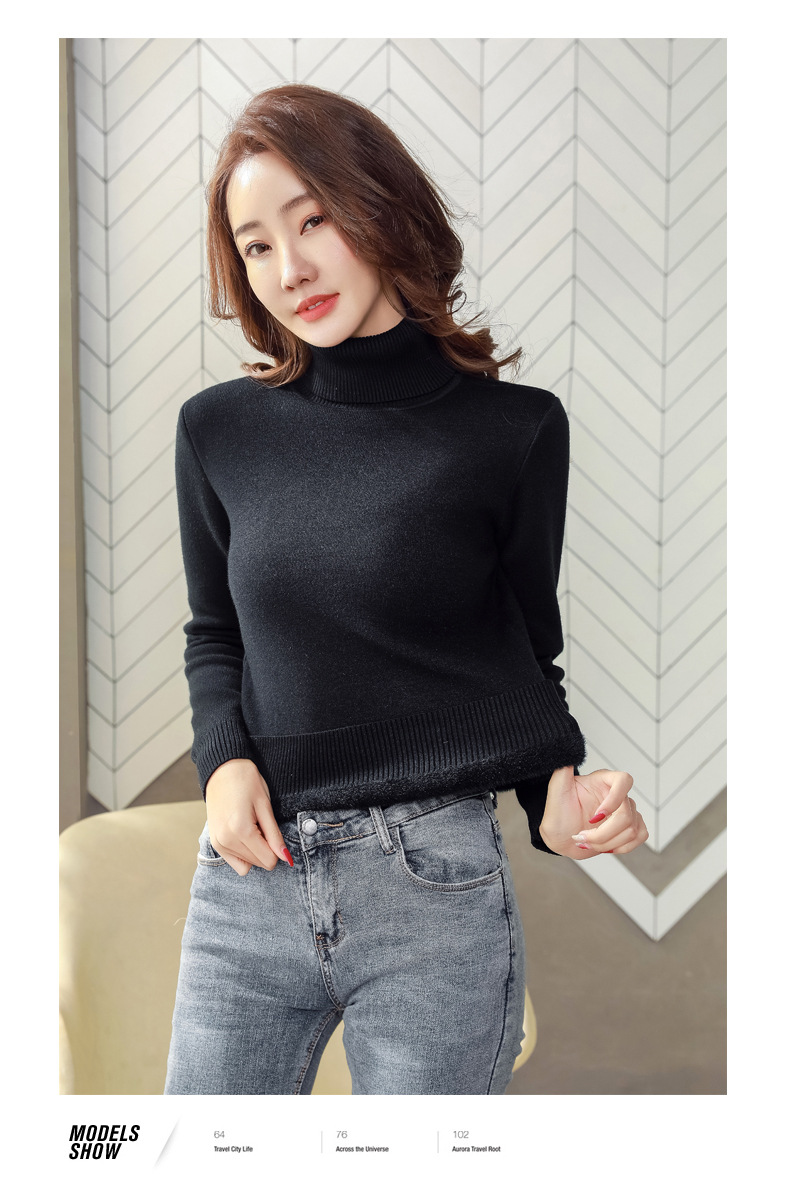 Women's Sweater Long Sleeve Sweaters & Cardigans Simple Style Solid Color display picture 9