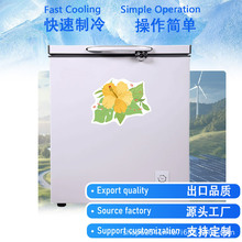 160l Single Door Chest Freezer冰柜冰箱冷柜 +彩晶门商用展示柜