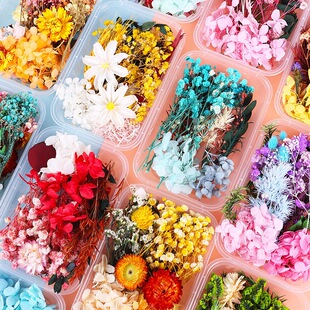 �ֹ��F������λ�diyϞ�T�������ϰ��滨�ɻ���ϻ�diy���ϰ�