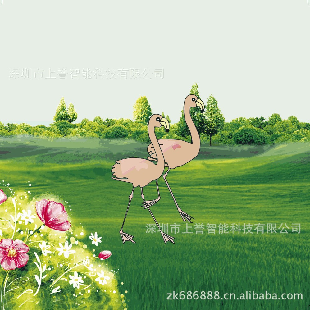 很多光栅动漫卡定 制，光栅3D立体卡，动画卡，3D会员卡制作厂家