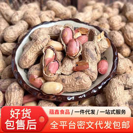 代发柴火炒花生带壳熟原味花生炒货办公室零食小吃休闲零嘴花生