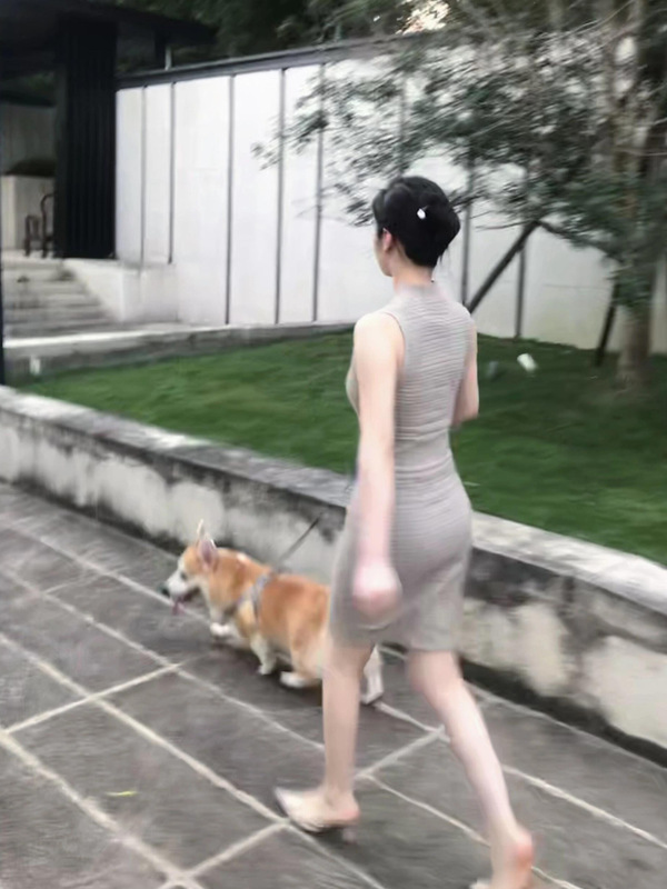御姐气质v领针织背心连衣裙女装夏季新款修身显身材收腰包臀裙子|undefined