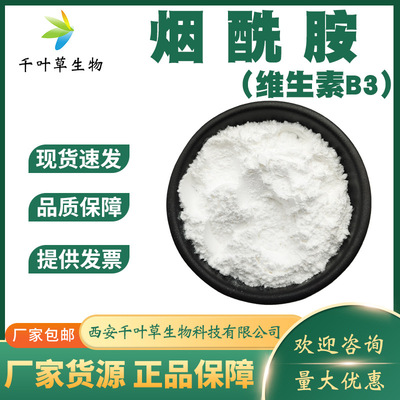 烟酰胺99% vb3 厂家现货包邮 食品化妆品BV3 营养强化剂 维生素B3|ru