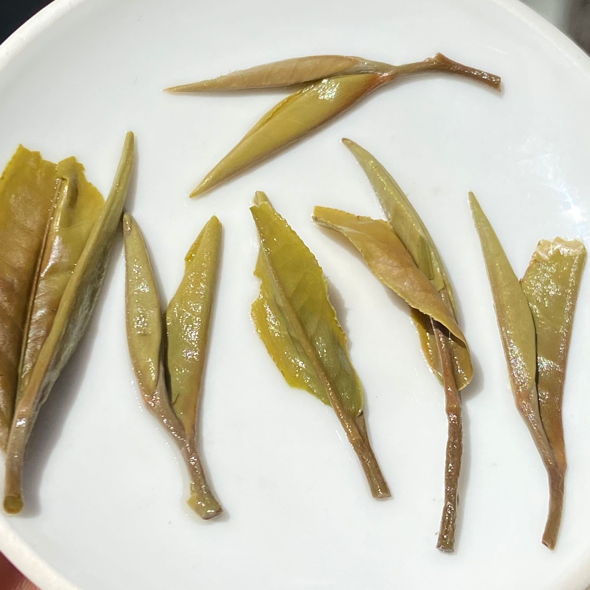 6950c52c2a98b0587ef71da8babf7b