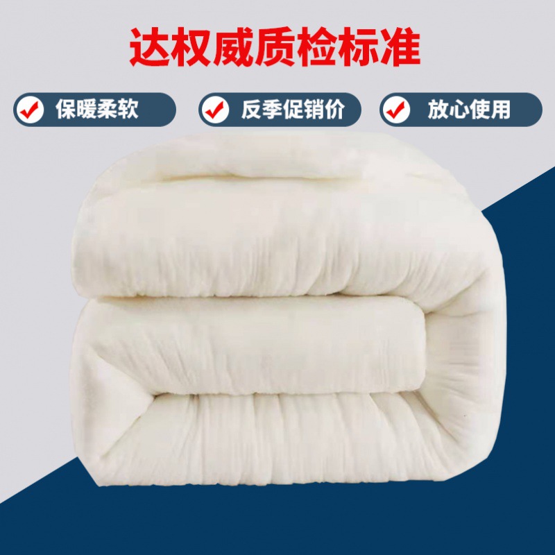 Cotton The quilt core quilt with cotton wadding Tire mat student quilt mattress Mat Single spring and autumn Winter quilt Bedding thickening