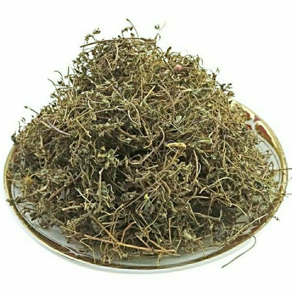 Dried Euphorbia Humifusa Di Jin Cao 500g Sliced Creeping Euphorbia Herb for Traditional Decoctions key features