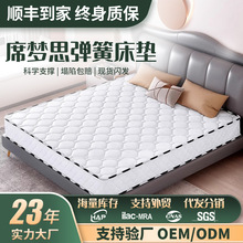 弹簧床垫经济型20cm厚软硬两用椰棕硬垫独立簧席梦思床垫乳胶软垫
