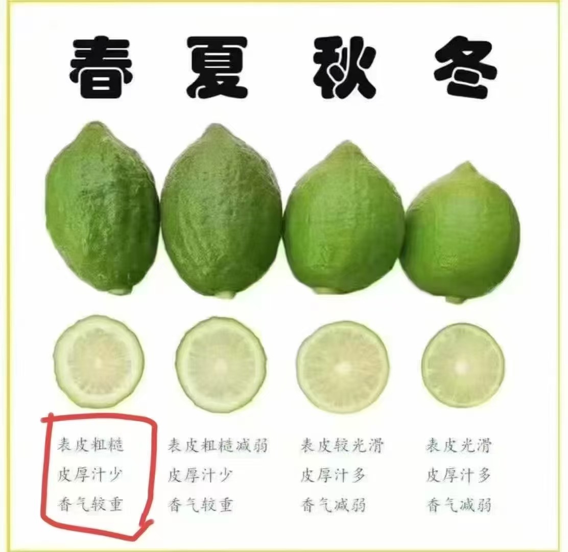 微信图片_20250419221008