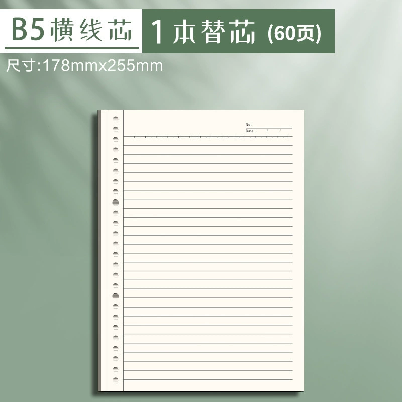 Refillable Transparent Loose‑Leaf Notebook, Disc‑Bound Covers, Sizes A5/B5/A4, Lined & Grid