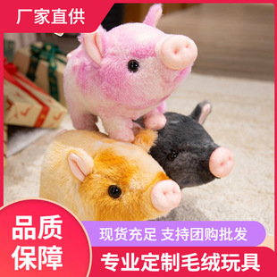 �羳С���i�����i���﹫��ë�q���С�i��ż���\�i��������
