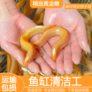 �S�����q��ˮ�^�p�~�S�����q�~���坍�����~�������B�ͻ��~���]