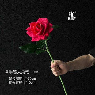 ���滨�ָд��õ�Ҿ��bٻ��Ƶ겼�ý�õ���˹�õ�廨�ٲ�õ��
