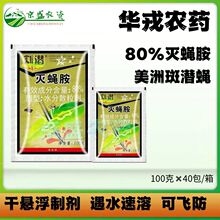 �A�ָ 80%��ω�����x�� �S�����ްߝ�ω���x���rș���x�����l