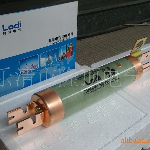 隆顶电气  XRNF-10  高压熔断器  FFLAJ-12