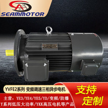 �ӱ���������������YVFE2-2��3-355kw��Ƶ���������첽�綯��